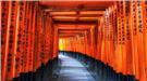 Điện Thờ Fushimi Inari Nổi Tiếng Kyoto
